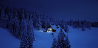 Co jest celem normy?