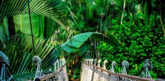 Czy kurs na przewóz rzeczy jest obowiązkowy?