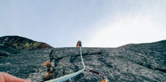 Jakie sprawy może prowadzić radca prawny?