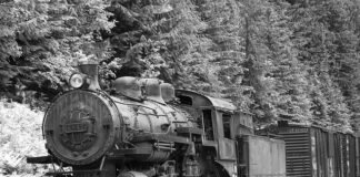 Czy CPC jest ważne w Polsce?