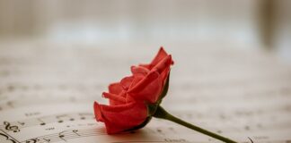 Kto ma prawo do bezpłatnej pomocy prawnej?