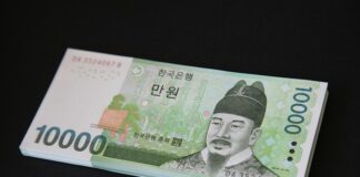 Ile procent od wygranej sprawy dla adwokata?