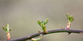 Jak zrobić repozytorium?