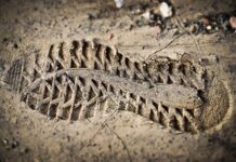 Co oznacza Ocena w edukacji wczesnoszkolnej?