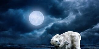 Jak skutecznie bronić się w sądzie bez adwokata?