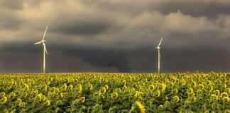 W jakiej kolejności spłacać długi?